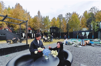 村里来了博士服务站 村里来了博士服务站